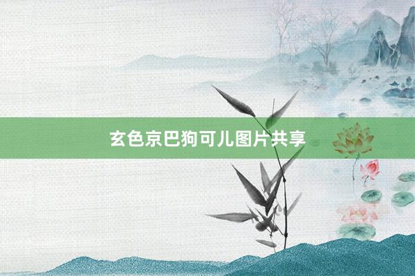 玄色京巴狗可儿图片共享