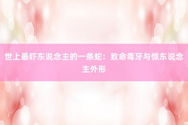 世上最吓东说念主的一条蛇：致命毒牙与惊东说念主外形